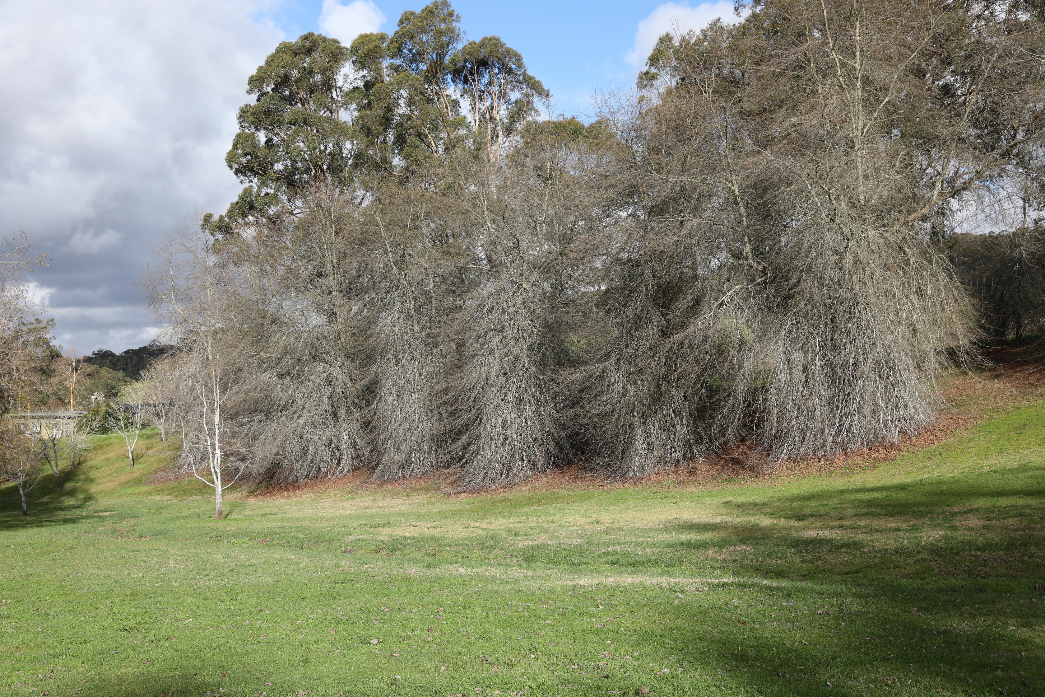 2019 09 21 16 09 56 Canon EOS 5D Mark IV 0017